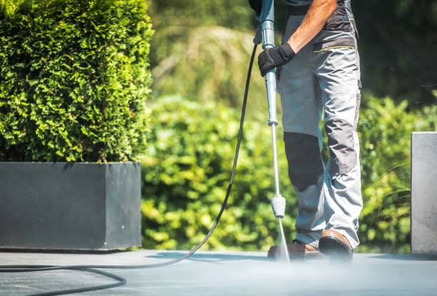 Best Fence Cleaning  in Oviedo, FL