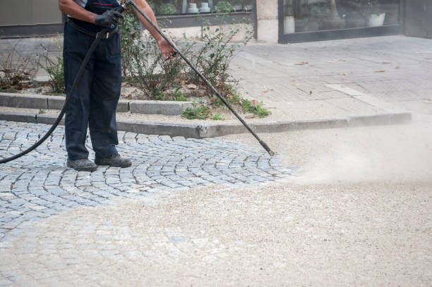 Best Sidewalk and Walkway Cleaning  in Oviedo, FL