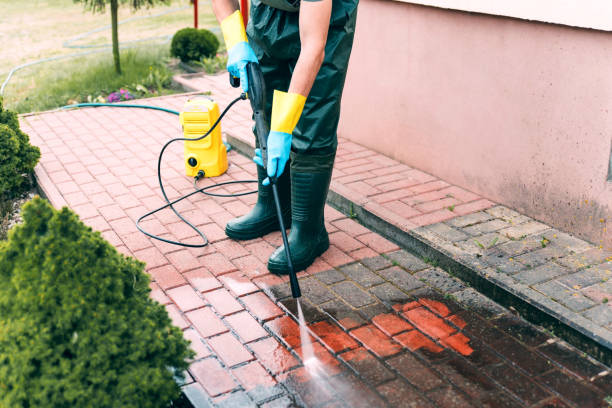 Animal Enclosure Cleaning in Oviedo, FL